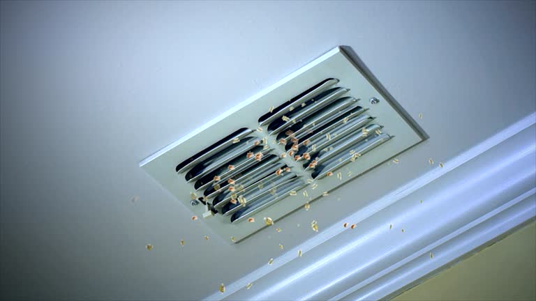 Best HVAC System Cleaning  in Point Mackenzie, AK